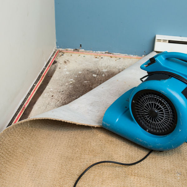 fan drying wet floor
