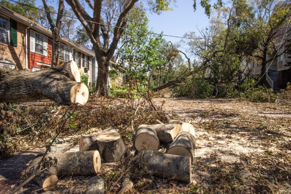 Storm Damage Repair in Raleigh, NC