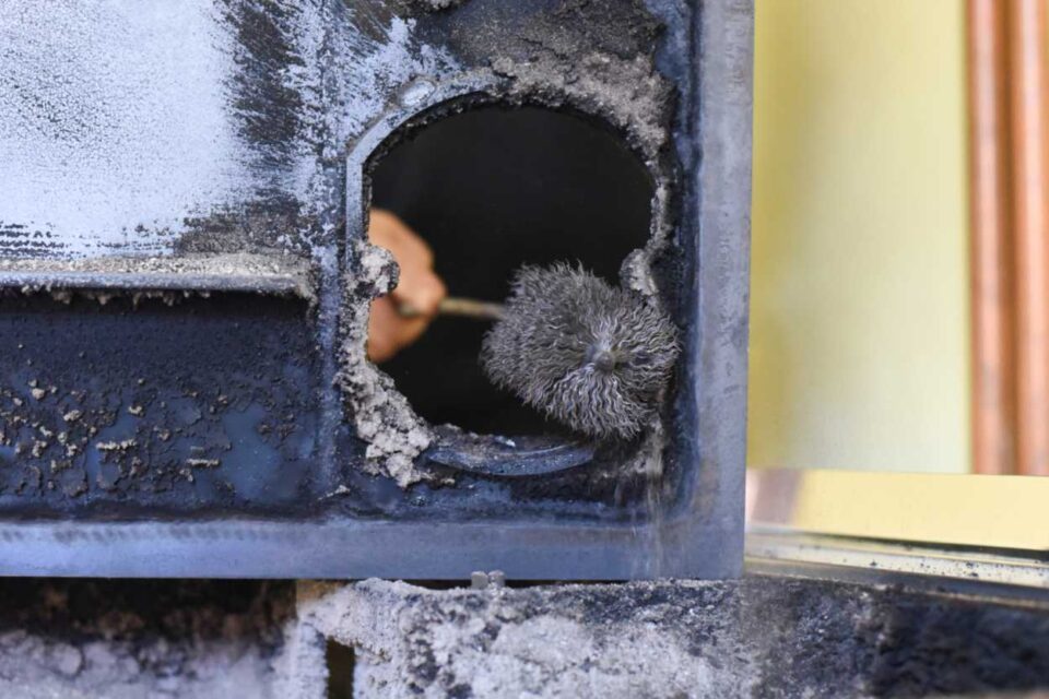 Odor Removal in Raleigh, NC